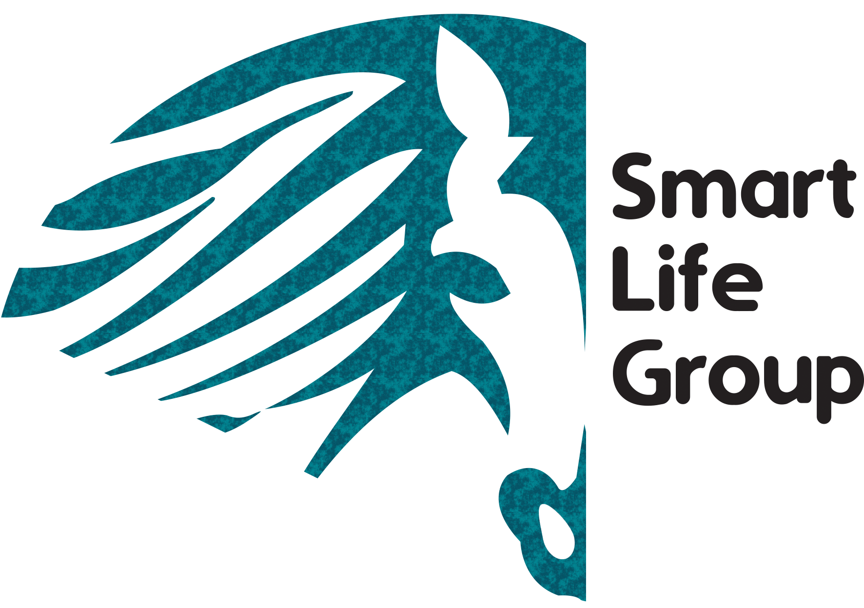 Smart Life Group  Vivi smart, rendi la tua vita facile!